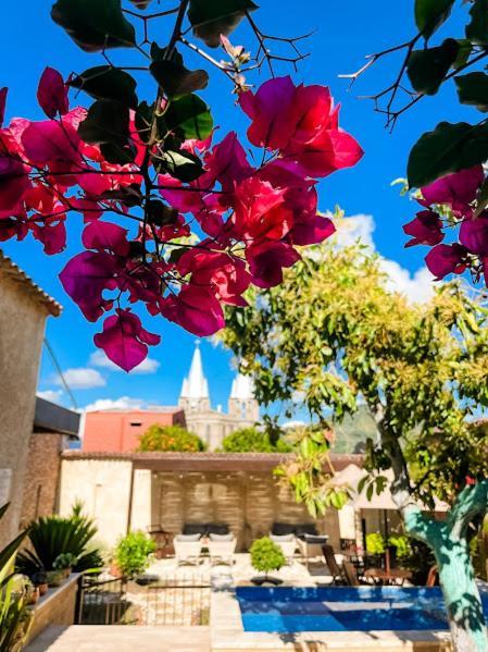 Casa Passiflora Hotel Boutique Jardin Exterior photo